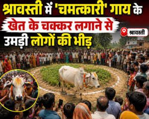 श्रावस्ती में ‘चमत्कारी’ गाय के खेत के चक्कर लगाने से उमड़ी लोगों की भीड़