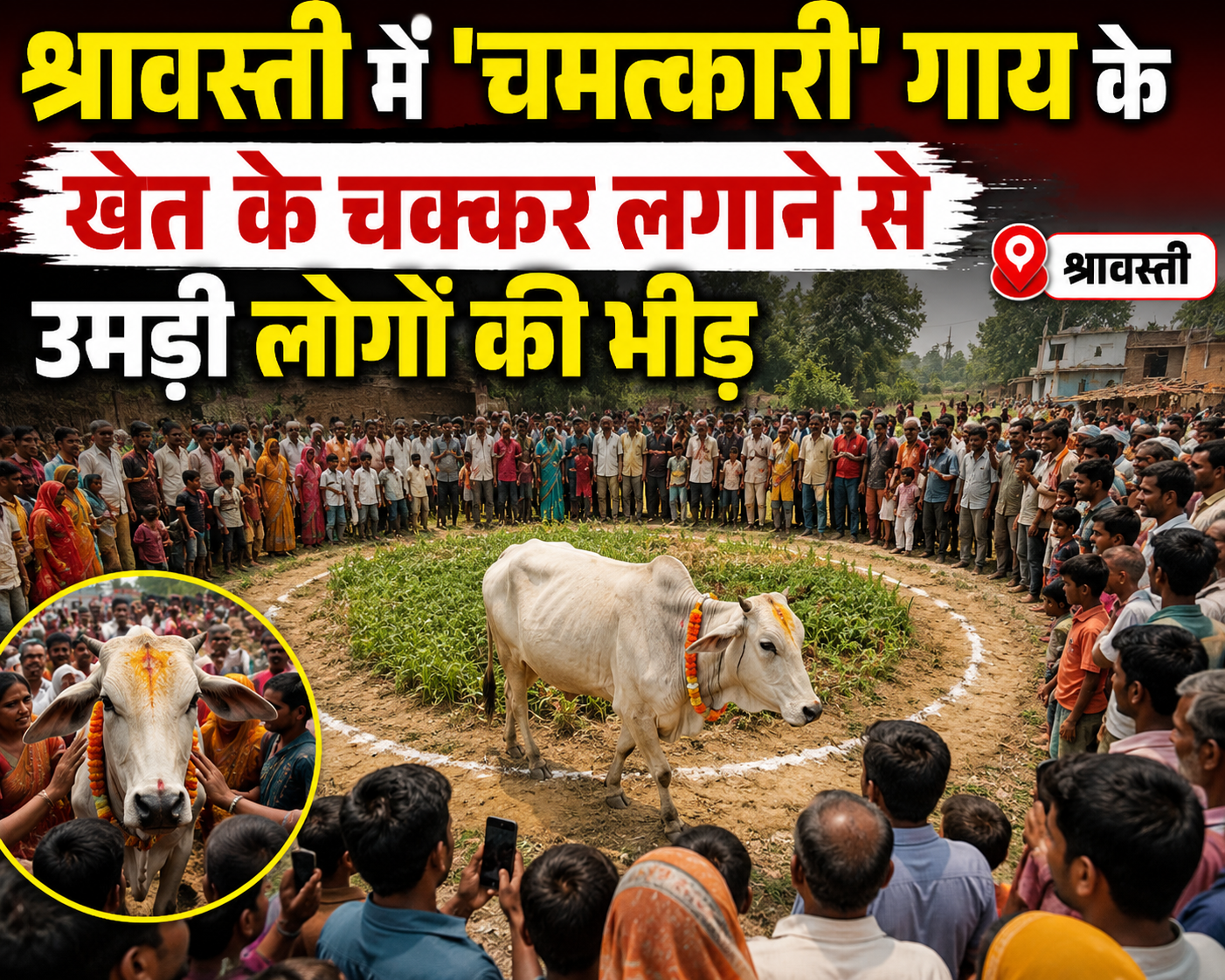 श्रावस्ती में ‘चमत्कारी’ गाय के खेत के चक्कर लगाने से उमड़ी लोगों की भीड़