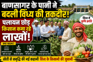 बाणसागर के पानी ने बदली विंध्य की तकदीर! पलायन छोड़ किसान कमा रहे लाखों